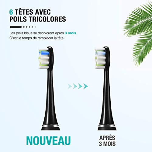 ATMOKO Tête de Brosses de Rechange pour Brosse à Dents Sonique avec des poils Tricolor et Durs Uniquement compatible avec les brosses à dents de la série SONIC POWER