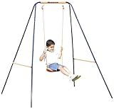 Hedstrom 2-in-1 Swing with 5 Point Harness (Toy)