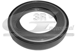 3RG INDUSTRIAL - Reten Diferencial 58 X 40 X 10- OEM 312144 1608816780 236210 312139 226418 312123 312109 - Piezas para Coche Recambios Motor y Otras Partes de Vehículo.