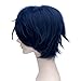 Fashion Basic Boy's Style Fancy Cosplay Wig Short Anime Hair Dark Blue +Wig Cap