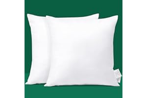 JOTOM Kissenfüllung Sofakissen Formstabil Kissen Dekokissen Zierkissen Kopfkissen Rückenkissen Couchkissen Füllkissen für Wohnzimmer Bett Sofa Outdoor Draußen (50 x 50 cm, 2)