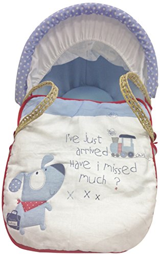 Bizzi Growin Henry And Barnaby Moses Basket