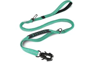 Joytale Taktyczna smycz bungee dla psa, wytrzymała, amortyzująca wstrząsy, 2 wyściełane uchwyty, metalowy karabincki, pas bezpieczeństwa samochodowy, mocny, bez ciągnięcia