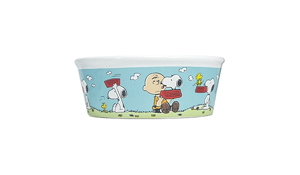Peanuts Snoopy Woodstock Charlie Brown Dog Food Bowl Heavy Stoneware Pet Dish 5 Wide Amazon Co Uk Pet Supplies