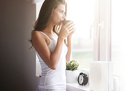 Dahle 80100-11705 nanoClean Luftreiniger mit HNF3 Hochleistungs-Nanopartikelfilter - 9