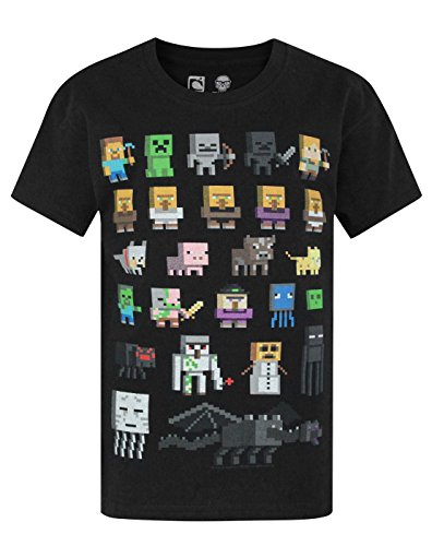Minecraft Official Sprites Boy's Black T-Shirt (11-12 Years)