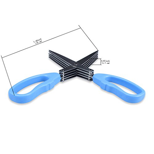 Edealing 1 PCS New Stainless Steel Scallion Frühlingszwiebel Gemüse Shredder Hobel Cutter 5 scharfen Klingen - 4