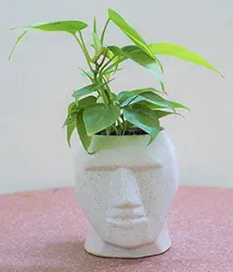 POTS & Plants Ceramic Plant Flower Pot, Creative Geometric Lines Human Face Dotted Plant Vase Succulent Plant Pot Container Planter Bonsai Pots Indoor/Outdoor Decor (Without Plant) || Made in India Product ||