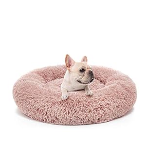 Vivi Bear Cama de Gato Cama de Perro Extra Suave Cómodo Lindo,Cojín de Gato Lavable de la Cama,Lecho Ovalado de Cueva de anidación Adecuado para Gatos y Perros pequeños y medianos(50 cm de diámetro)