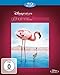 Das Geheimnis der Flamingos [Blu-ray]