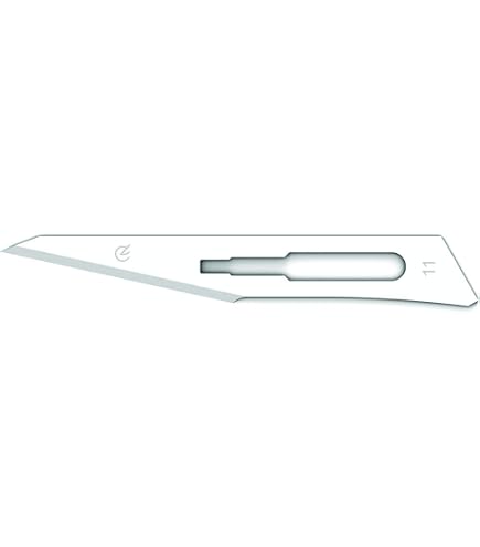 Paragon Einweg-Skalpellklingen Größe 24 – Steril, 100 Stück, Edelstahl, Gamma-sterilisiert – Für Präzise Schnitte