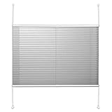 VARIABEL: Stufenlos verstellbares Plisseerollo als Sicht- und Blendschutz in moderner Crushed Optik - für alle, denen herkömmliche Gardinen und Vorhänge zu langweilig sind.