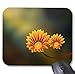 Produktbild Gaming Mouse Pad Niedliche Blume für Sie Design für Desktop und Laptop 1 Packung 22x18 cm / 8.66x7in