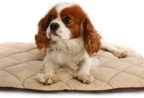 Flectabed Q Thermal Pet Bedding for Dog/ Cat, 50 x 30-inch, Cream