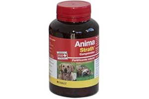 STANGEST Anima Strath 240CPD