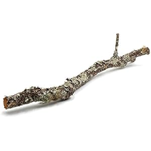 Schöner, großer, handverlesener Korkast mit toller Baumrinde | Troncho | Dicker Ast aus der Korkeiche | Dicke 4-8cm | Länge 70cm | mindestens 1x Verzweigung