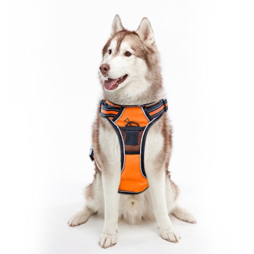 PUREBOX Hundegeschirr, verhindert Zerren vorne Range Komfort Geschirr Vier Punkte der Anpassung, Hundegeschirr 3 m Reflektierende Oxford Material, einfache Kontrolle, M, Orange