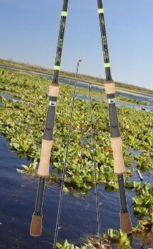 G.Loomis E6XT 6'8" MH Jig &amp; Worm Casting Rod 803CJWR (12170-01) by GLOOMIS