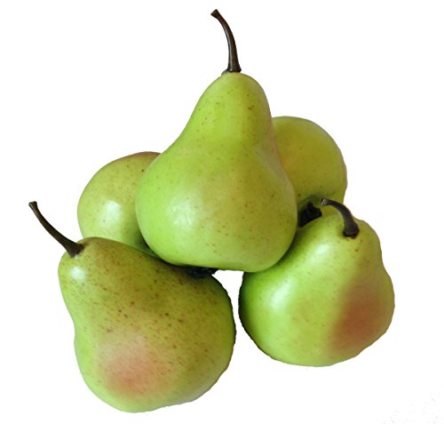 Deko Birnen 5 Stück grün Kunstobst Kunstgemüse künstliches Obst Gemüse Dekoration