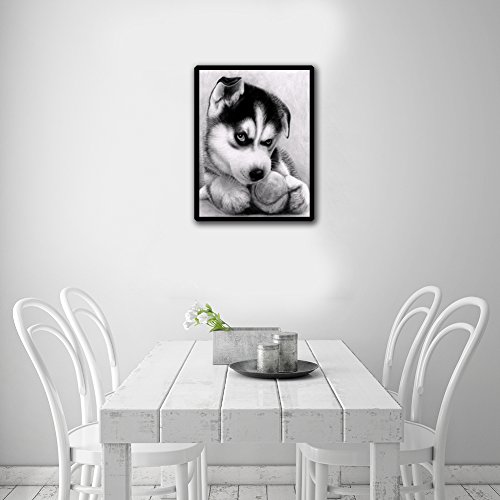 Amazingdeal365 Motiv- Hunde 2 5D DIY Diamond Stickerei Malerei Kreuzstich Kinderhandarbeit zum Lernen für Balkon,Terasse,Café,Kinderzimmer,Wohnzimmer, Schlafzimmer, Arbeitszimmer usw. - 3