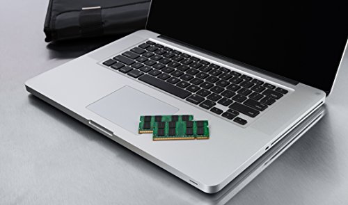 Kingston KTA-MB1600/8G - Memoria de 8 GB para Apple MacBook Pro 13-15 Pulgadas (1600MHz, SODIMM, Mid 2012) - Kingston