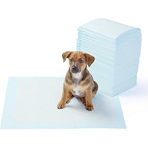 AmazonBasics – Toallitas de entrenamiento para mascotas (tamaño regular, 100 unidades)