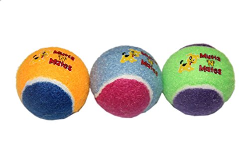 Small-Squeaky-Dog-Balls-by-MuttsNMates-super-bouncy-small-dogs-toy-3-Pack
