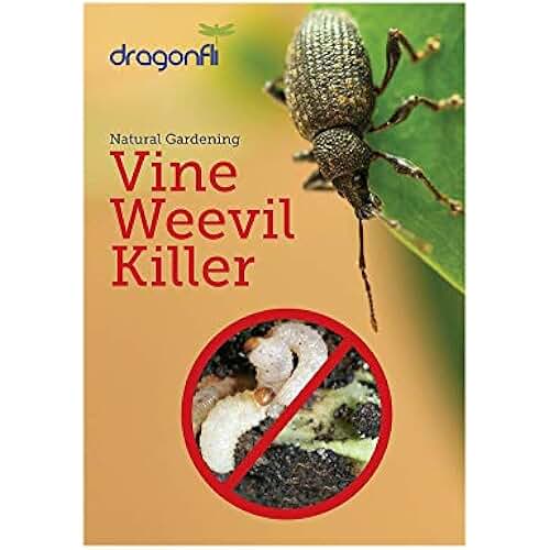 Amazon.co.uk vine weevil treatment