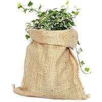 Bolsas para plantas | Amazon.es