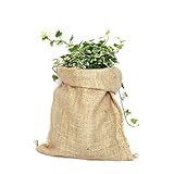 ✔ Este producto respeta el medio ambiente. El cultivo de yute enriquece la fertilidad del suelo para la cosecha siguiente. Con tu compra colaborarás con la producción ecológica y el cuidado de la naturaleza. ¡Muchas gracias!