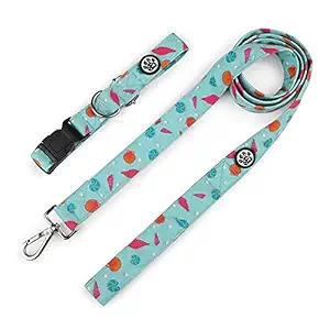 Dear Pet Dancing Pearls Green Dog Collar & Leash Set for Small, Medium & Large Dogs (Large)