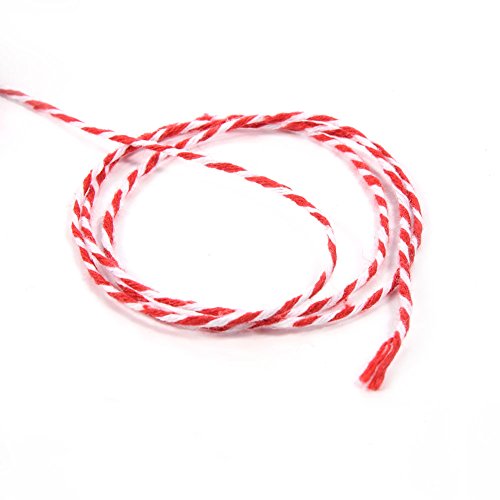 100M Länge Juteschnur Leinen Garten Kordel Bastelschnur für Gartenarbeit/Bateln/Geschenk Packing LianLe - 5