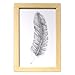 Produktbild Graham & Brown - Drawed Feather - Bild mit rahmen - Weiß/Gelb - 30x20 cm