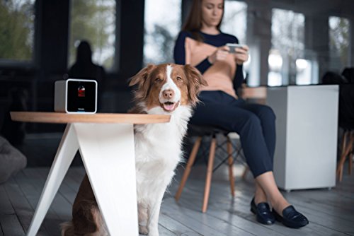 Petcube-Interactive-Wi-Fi-Pet-Camera