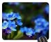 Produktbild I want you to Remember... Mouse Pad, Mousepad (Flowers Mouse Pad)