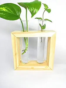 ANGIRAS Wall Hanging Flower Bud Vase Testube Plant Holder Terrarium Perfect for Propagating Hydroponic Plants