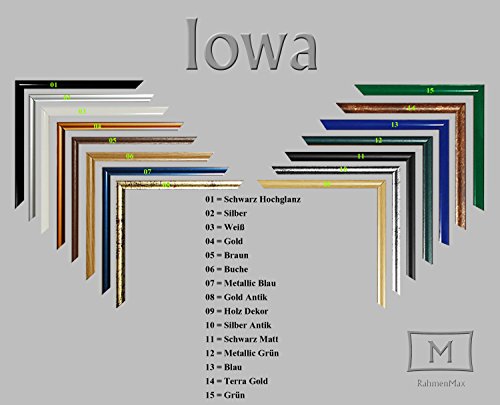 Iowa Kunststoff-Bilderrahmen 22×33 cm 33×22 cm Farbwahl jetzt : Terra Gold mit reflexfreiem Acrylglas Posterrahmen - 2