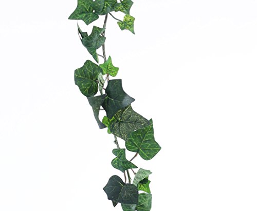 Günstige Efeu Grilande Hedera helix mit grünen textilen Blättern in unterschiedlichen Größen und einer Gesamtlänge von ca. 180cm – Kunstblume Rankpflanze Efeu Girlande Dekoration Kunstpflanze Restaurant Dekoration - 4