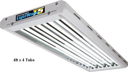 T5 LightWave - 4ft x 4 lamp Grow Light