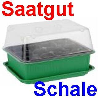 Saatgutschale Kunststoff zum Anzüchten, Saatgut Mini Gewächs Treib Haus Schale (LHS)