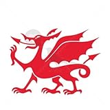 Welsh Dragon - Temporary Tattoo by TempTatz (Wales Euro)