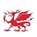 Welsh Dragon - Temporary Tattoo by TempTatz (Rugby World Cup)