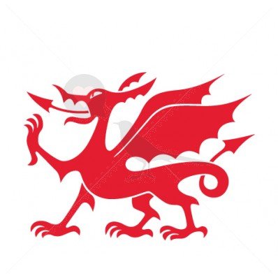 Welsh Dragon - Temporary Tattoo by TempTatz (Rugby World Cup)