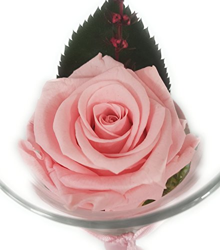 Rosen-te-amo Blumenstrauß im Vase aus eine ECHTE Rose – 3 JAHRE haltbare Blume OHNE WASSER – Geschenk zum Valentinstag die Konservierte Rose - 3