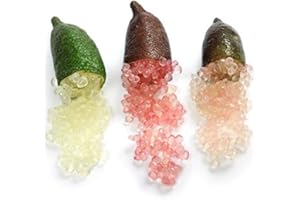 Portal Cool 4: 20Pcs frutta tropicale semi Finger Limes Citrus melograno Per la casa Giardino Balco