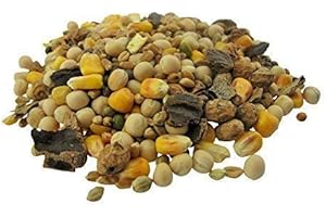 Commonbaits Big Carp Particules Mix 10Kg