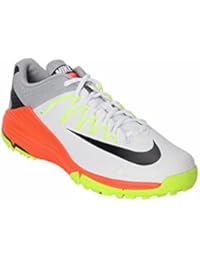 nike domain 2 cricket shoes