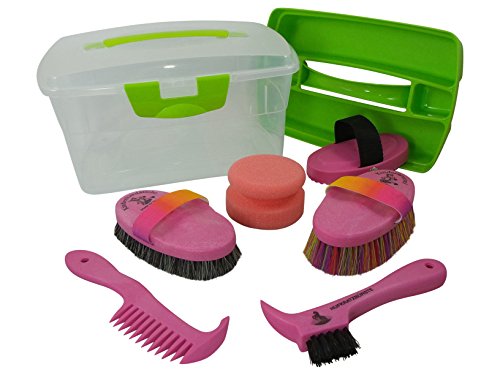 Preisvergleich Produktbild Haas Kinder Putzbox hochwertiges Putzzeug pink Kardätsche Striegel Hufkratzer