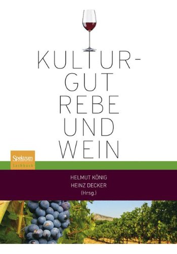 Preisvergleich Produktbild Kulturgut Rebe und Wein
