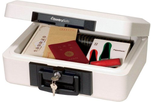 Sentry Safe 1160 - Maletín de seguridad con llave (hierro, tamaño A4), color blanco